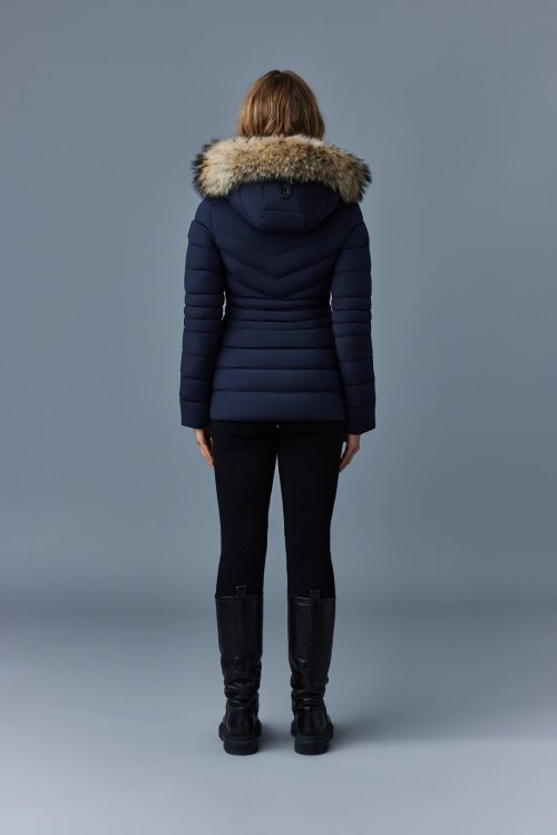 PATSY-FR Black Mackage