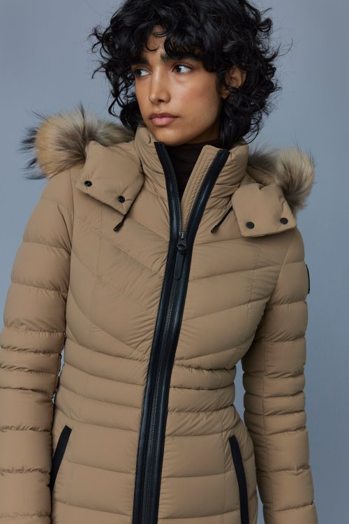 PATSY-FR Black Mackage